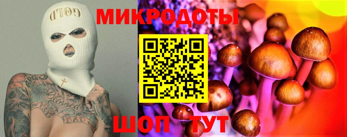 цены   Вход с VPN  Георгиевск  Галлюциногенные грибы GOLDEN TEACHER 