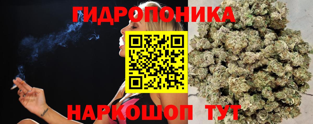 Шишки марихуана Ganja Георгиевск